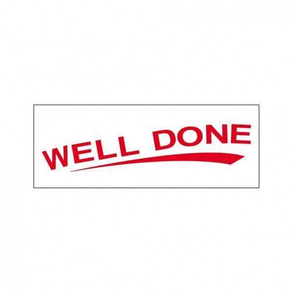 Well Done Stock Stamp TS-5, 38x14mm